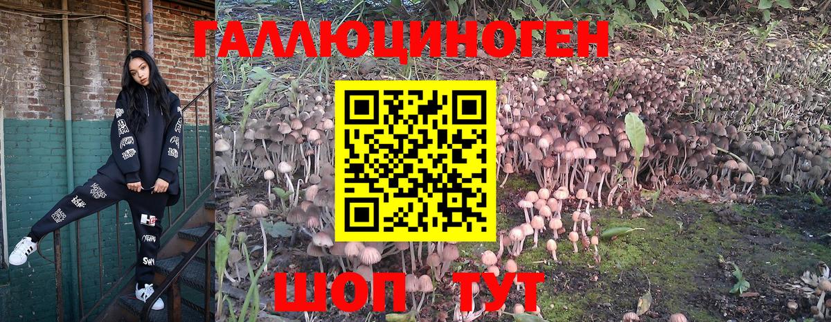 Галлюциногенные грибы Psilocybe  Псилоцибиновые грибы Magic Shrooms  Вход с VPN  Стрежевой 