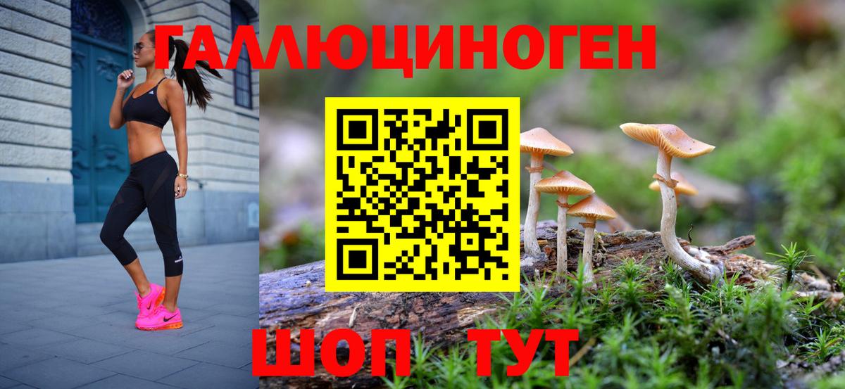 Галлюциногенные грибы Cubensis Стрежевой